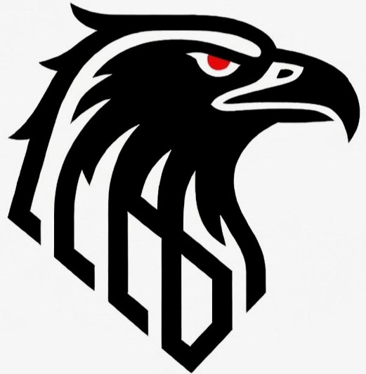 Black Eagle Group Logo